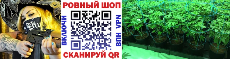 Где купить наркотики Всеволожск КОКАИН  ГАШИШ  СК  Конопля 