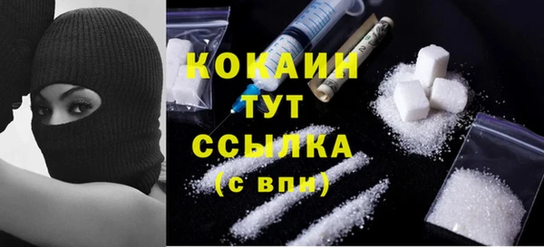 мдпв Бородино