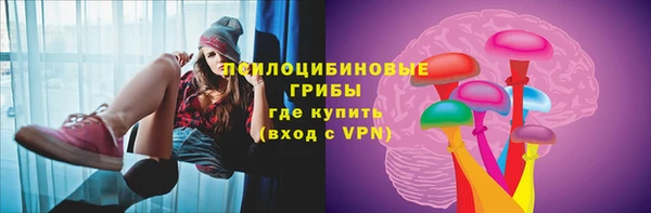 ПСИЛОЦИБИНОВЫЕ ГРИБЫ Бугульма