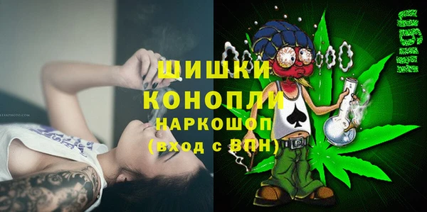 амф Верхний Тагил