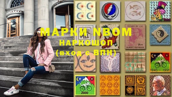 амф Верхний Тагил