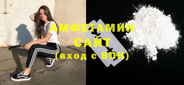 амф Верхний Тагил