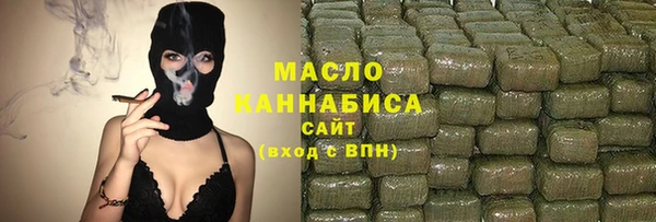 амф Верхний Тагил